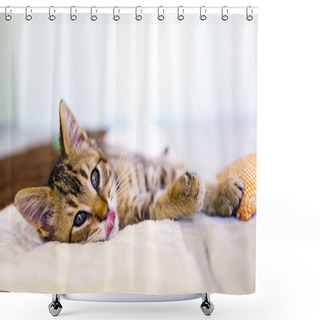 Personality  Small Funny Cat Shower Curtains
