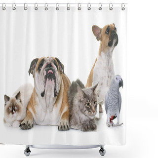Personality  Group Of Pet Shower Curtains