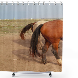 Personality  Groats Of Three Horses With Luxurious Long Tails Are Standing On The Ground Against A Gray Sk Shower Curtains