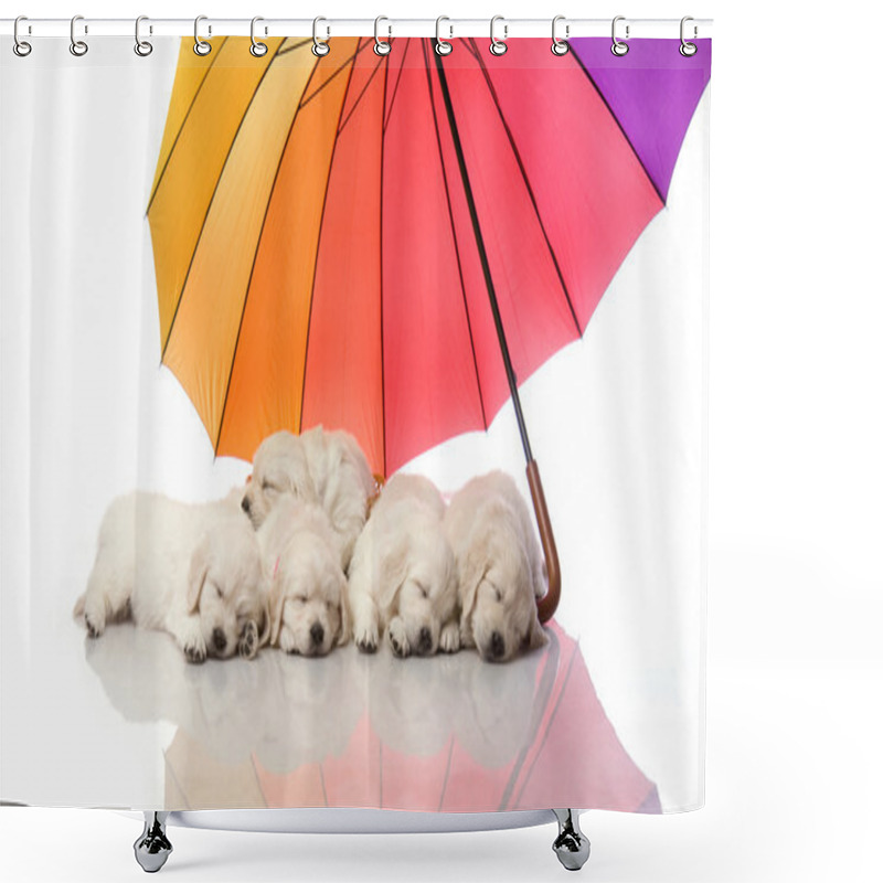 Personality  Puppies Sleeping Under Umbrella Shower Curtains