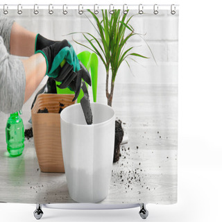 Personality  Care For Indoor Plants. The Girl Transplanted Dracaena. Dracaena, Watering Can, Spray Gun, Soil, Drainage, Moisture Measuring Tubes, Shovel On A Gray Wooden Floor. Palm Trees Care. Shower Curtains