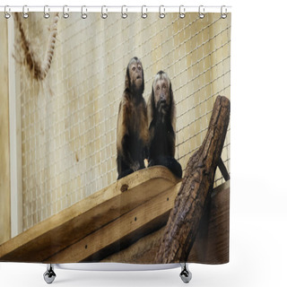 Personality  Wild Brown Monkeys Sitting In Cage  Shower Curtains