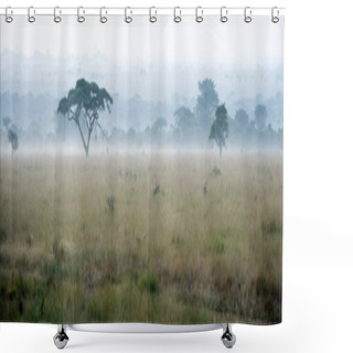 Personality  Savanna In A Morning Fog. Shower Curtains