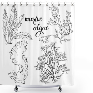 Personality  Hand-drawn Marine Algae.  Shower Curtains