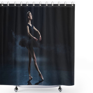 Personality  Ballerina In Black Tutu Shower Curtains