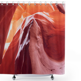 Personality  Wild Hog Standing And Looking Around Shower Curtains