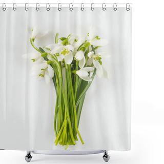 Personality  Beautiful Snowdrops Isolated On White Background Shower Curtains