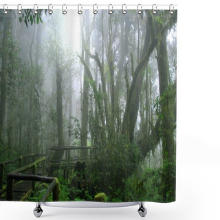 Personality  Wooden Path Covered By Moss In Misty Tropical Green Forest, Ang  Shower Curtains