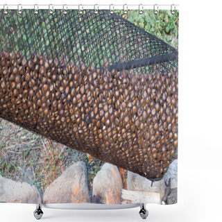 Personality  Roasting Chestnut Machine Close Up Shower Curtains