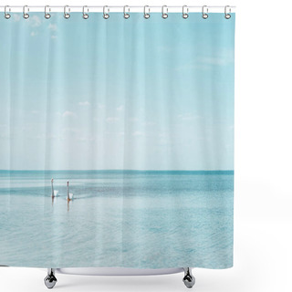 Personality  Two White Swans Swimming On River At Sunny Day Shower Curtains