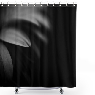 Personality  Black And White Photo Of Gerbera On A Dark Background. The Concept Of Holiday Greetings. Flower Poster Shower Curtains