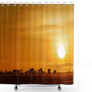 Personality  Landscape With Sunrise On The Savanna In Kenya Shower Curtains