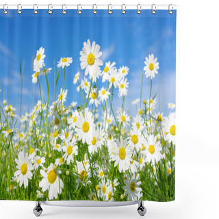 Personality  White Daisies Shower Curtains