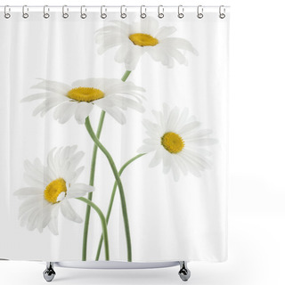 Personality  Daisy Flowers Shower Curtains