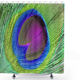 Personality  Beautiful Peacock Feather Shower Curtains