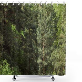 Personality  Aerial View Of Green Pines Trees At Daytime In Forest Shower Curtains