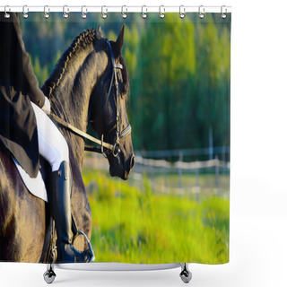 Personality  Black Friesian Horse In The Sunset With Rider Shower Curtains
