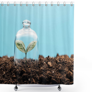 Personality  Small Green Plant Covered Under Bell Jar Isolated On Blue Shower Curtains