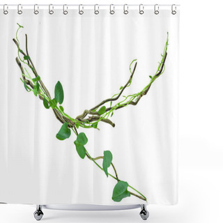 Personality  Circular Vine At The Roots Of Tropical Trees. Isolated On White Background With Clipping Path Included. Floral Desaign. HD Image And Large Resolution. Can Be Used As Wallpaper Shower Curtains