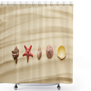 Personality  Flat Lay Of Seashells And Red Starfish On Sandy Beach In Summertime  Shower Curtains