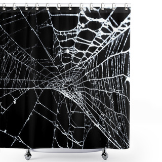 Personality  Spider Shower Curtains