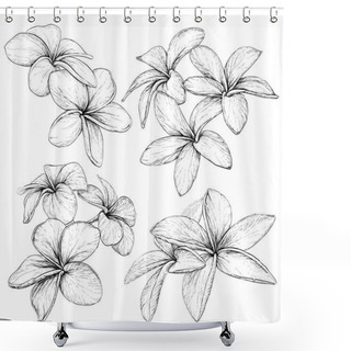 Personality  Plumeria.Tropical Necklace Flowers. Shower Curtains