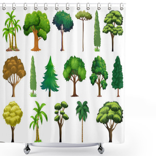 Personality  Set Of Variety Plants And Trees Illustration Shower Curtains
