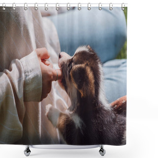 Personality  Cropped View Of Girl Putting Finger In Welsh Corgi Adorable Puppy Mouth Shower Curtains