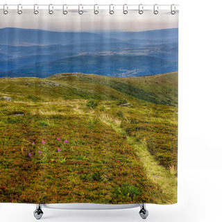 Personality  High Wild Plants At The Mountain Top Shower Curtains