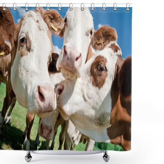 Personality  Cow Faces Shower Curtains