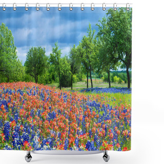 Personality  Wildflower Field In Texas Spring Shower Curtains