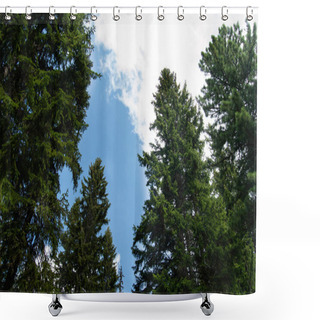 Personality  Low Angle View Of Pine Trees In Blue Cloudy Sky Shower Curtains