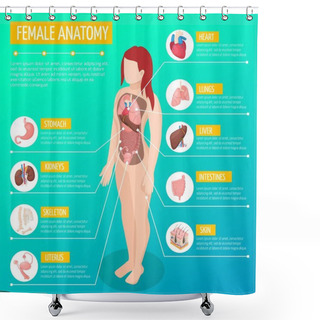 Personality  Female Anatomy Isometric Poster Shower Curtains