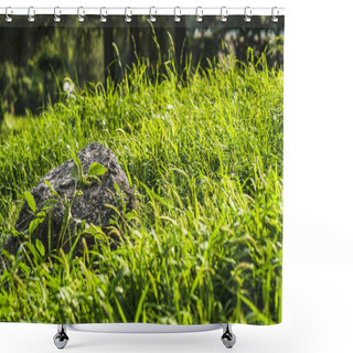Personality  Close-up Shot Of Rock Lying In Green Grass Under Sunlight Shower Curtains