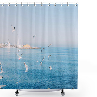 Personality  BARCELONA, SPAIN - DECEMBER 28, 2018: Scenic View Of Tranquil Blue Sea With Flying Seagulls Shower Curtains