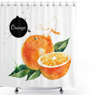 Personality  Hand Drawn Watercolor Painting Oranges Shower Curtains