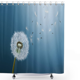 Personality  Dandelion On Blue Background Shower Curtains