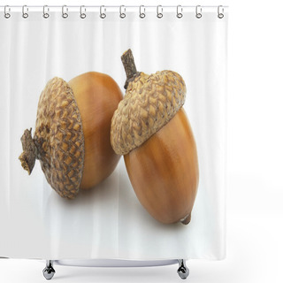 Personality  Two Acorns Shower Curtains