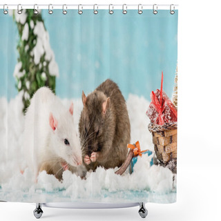 Personality  Cute Rats And Wicker Sled With Gift Boxes In New Year  Shower Curtains