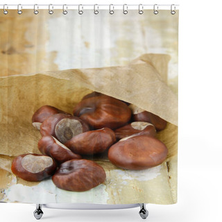 Personality  Fresh Chestnuts In Brown Paper Bags Shower Curtains