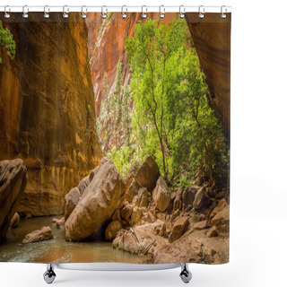 Personality  Virgin River In Zion National Park Utah Shower Curtains