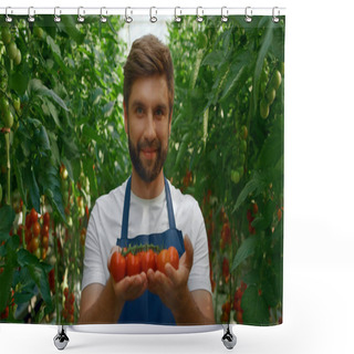 Personality  Farm Worker Showing Tomatoes Harvest Smiling In Green Big Garden Closeup Shower Curtains
