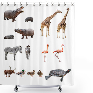 Personality  Zoo Animals Shower Curtains