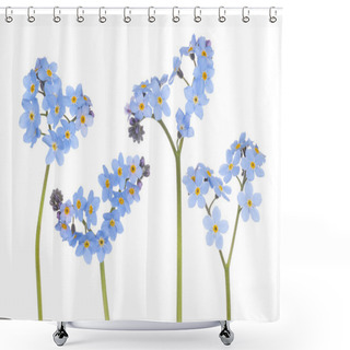 Personality  Forget Me Not Shower Curtains