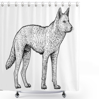 Personality  Dingo Illustration, Drawing, Engraving, Ink, Line Art, Vector Shower Curtains