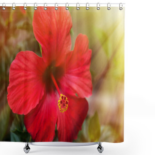 Personality  Red Hibiscus Flower In The Sunshine Shower Curtains