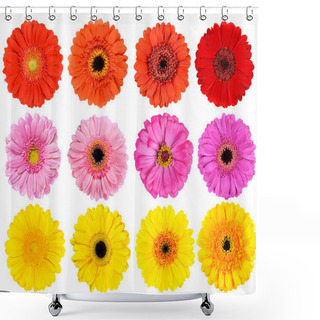 Personality  Collection Of Fresh Gerbera Flowers Isolated On White Shower Curtains