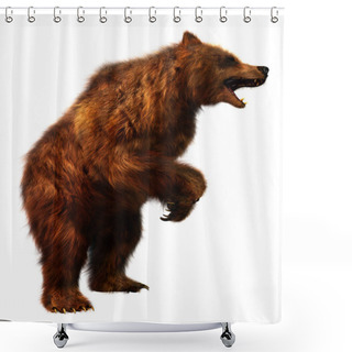 Personality  3D Rendering Of A Brown Bear Isolated On White Background Shower Curtains