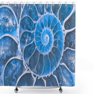 Personality  Ammonite Fossil Shower Curtains