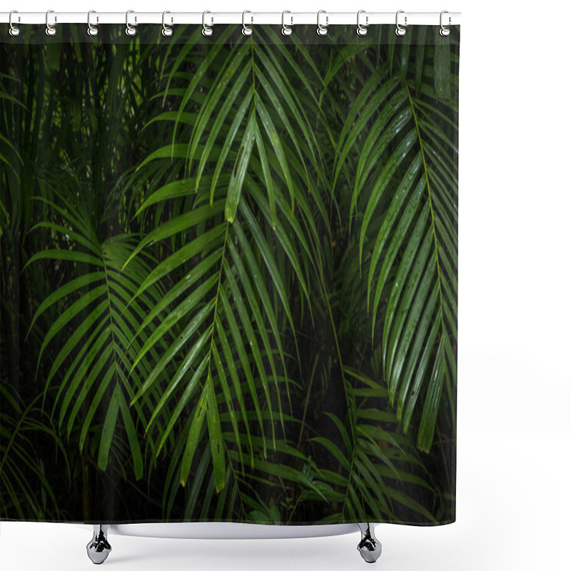 Personality  Tropical Jungle, Tropical Rainforest With Different Trees. Shower Curtains